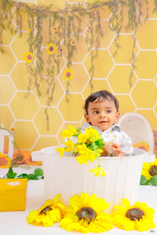 Toddler Honeybee With Tub Setup 220